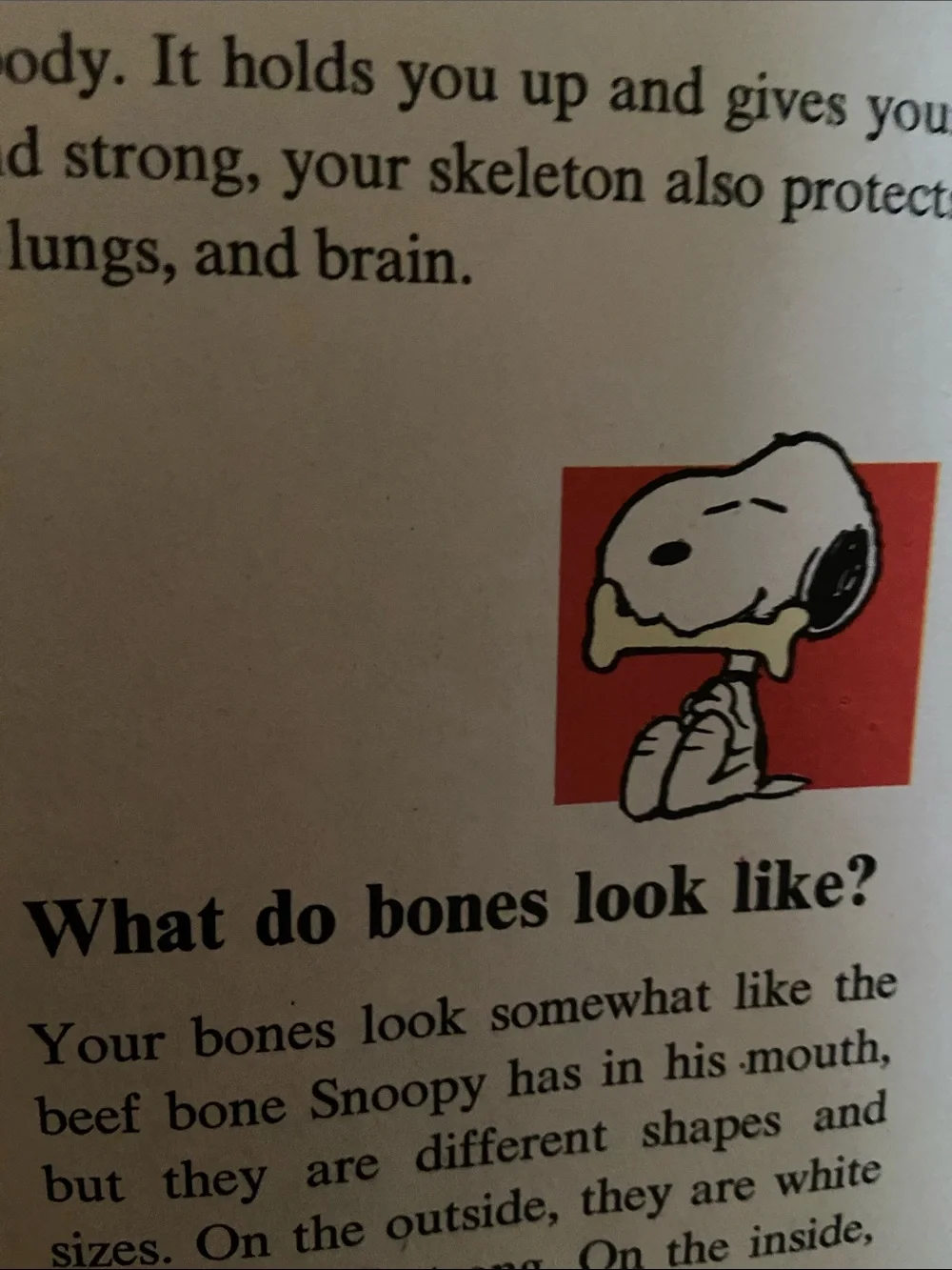 Vintage 70s 1970s Snoopy Peanuts Charlie Brown's Super Book Questions Answers hc